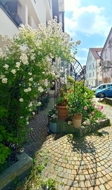 Biberach